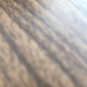 Meet your Posher, Mia